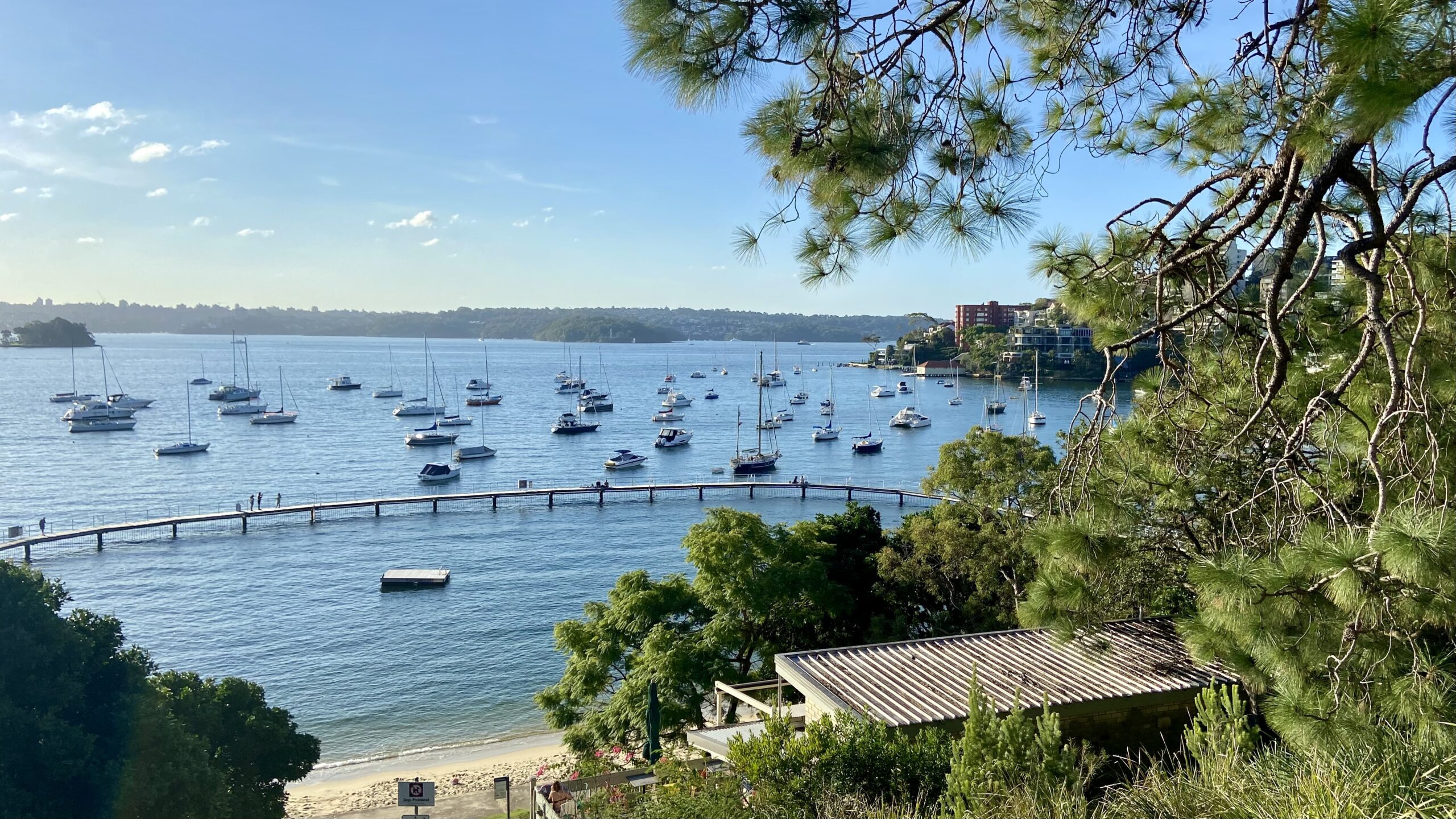 Murray Rose pool adjacent to Woollahra Council Chambers