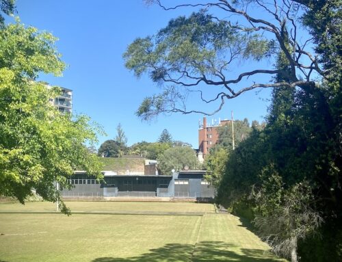 Paddington Bowling Club Update